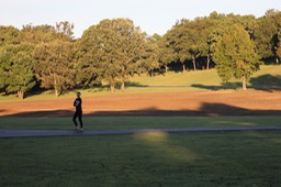 IMG_1381