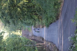 IMG_1548