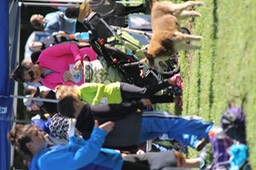 IMG_1828